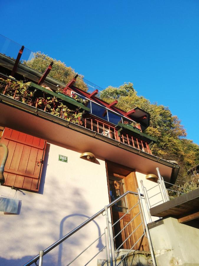 1 Zi Appartement Zauberwald Bildstein Exterior photo
