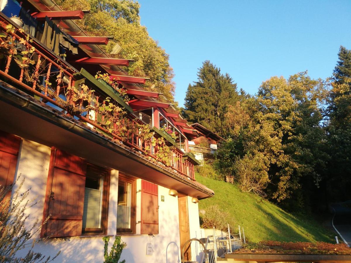 1 Zi Appartement Zauberwald Bildstein Exterior photo