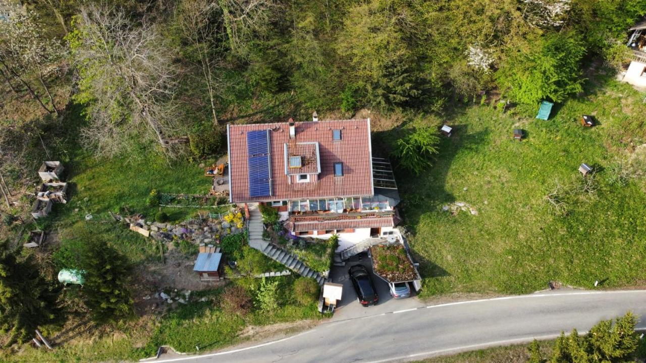1 Zi Appartement Zauberwald Bildstein Exterior photo