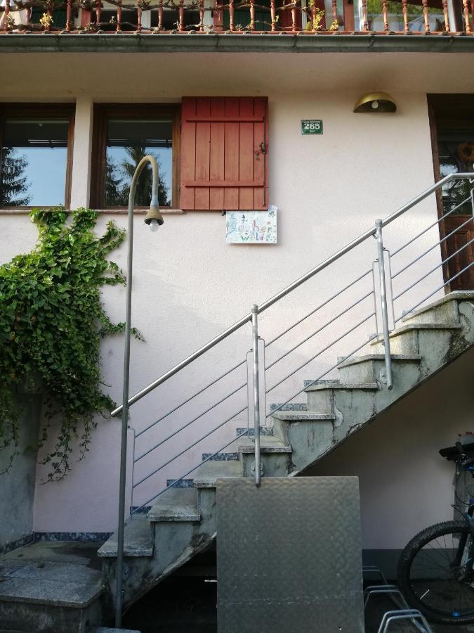 1 Zi Appartement Zauberwald Bildstein Exterior photo